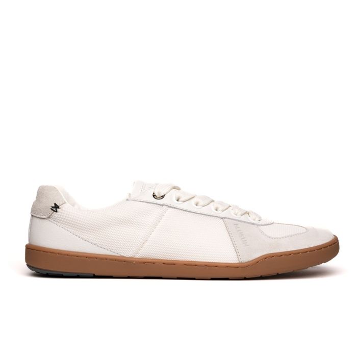 BLSN-204W