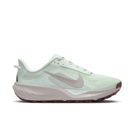 ACG Pegasus